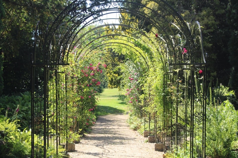 Westonbirt School Gardens